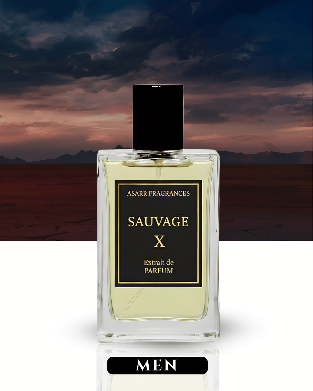 Sauvage X–Inspired By Sauvage Elixir